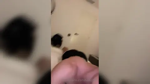 Baise-moi — Valsplace