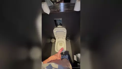 Toilettes publiques — branlette