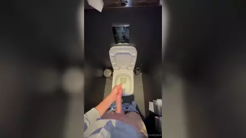 Toilettes publiques — branlette