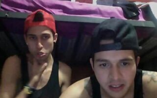 Deux skaters sur leur webcam